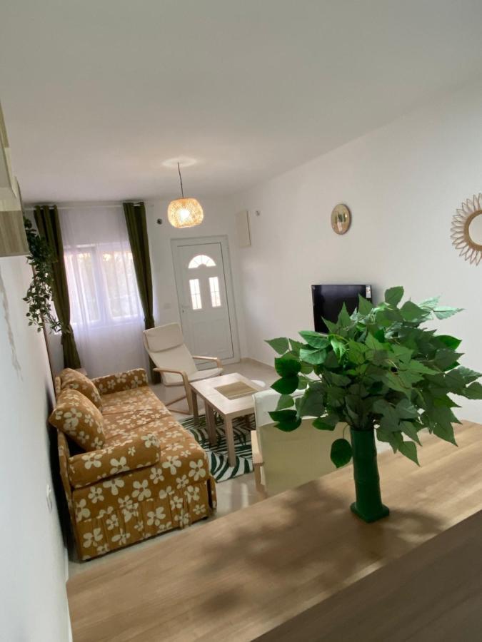 Kotor Apartman Green Sailorアパートメント エクステリア 写真